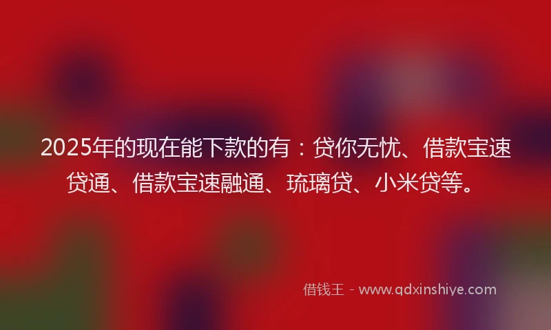 2025年的现在能下款的有：贷你无忧、借款宝速贷通、借款宝速融通、琉璃贷、小米贷等。