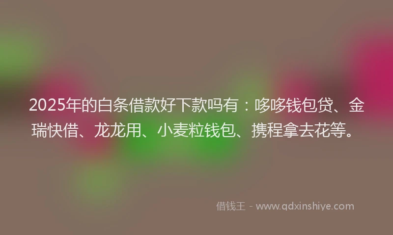 2025年的白条借款好下款吗有：哆哆钱包贷、金瑞快借、龙龙用、小麦粒钱包、携程拿去花等。
