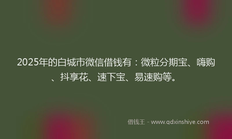 2025年的白城市微信借钱有：微粒分期宝、嗨购、抖享花、速下宝、易速购等。