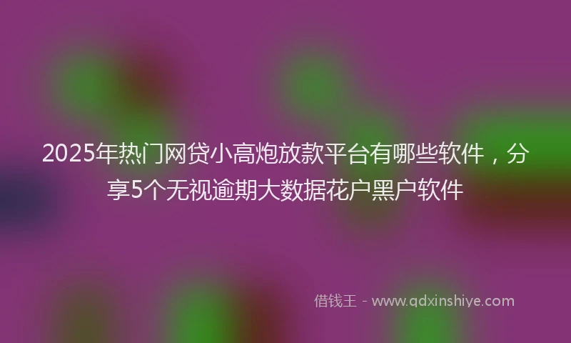 2025年热门网贷小高炮放款平台有哪些软件，分享5个无视逾期大数据花户黑户软件