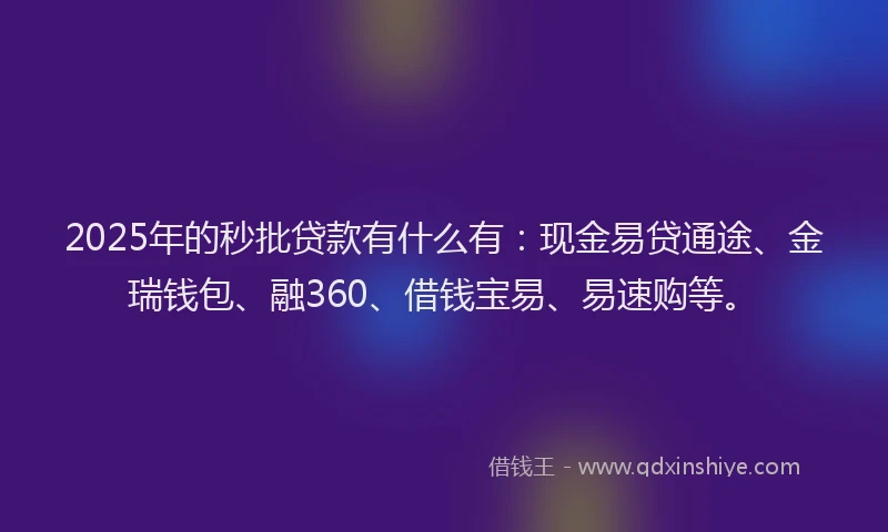 2025年的秒批贷款有什么有：现金易贷通途、金瑞钱包、融360、借钱宝易、易速购等。