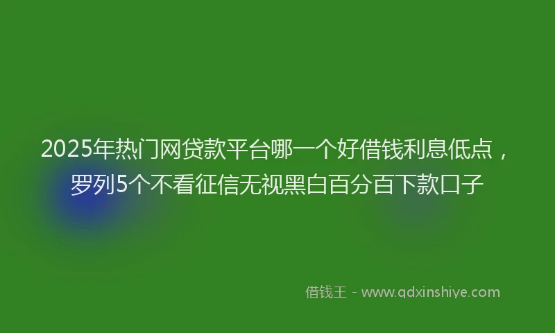 2025年热门网贷款平台哪一个好借钱利息低点，罗列5个不看征信无视黑白百分百下款口子