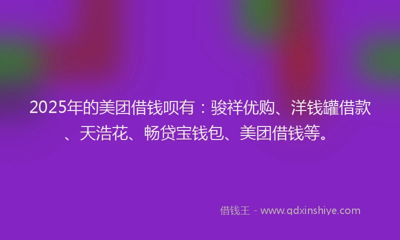 2025年的美团借钱呗有:骏祥优购、洋钱罐借款、天浩花、畅贷宝钱包、美团借钱等。