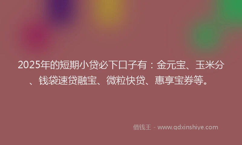 2025年的短期小贷必下口子有：金元宝、玉米分、钱袋速贷融宝、微粒快贷、惠享宝券等。