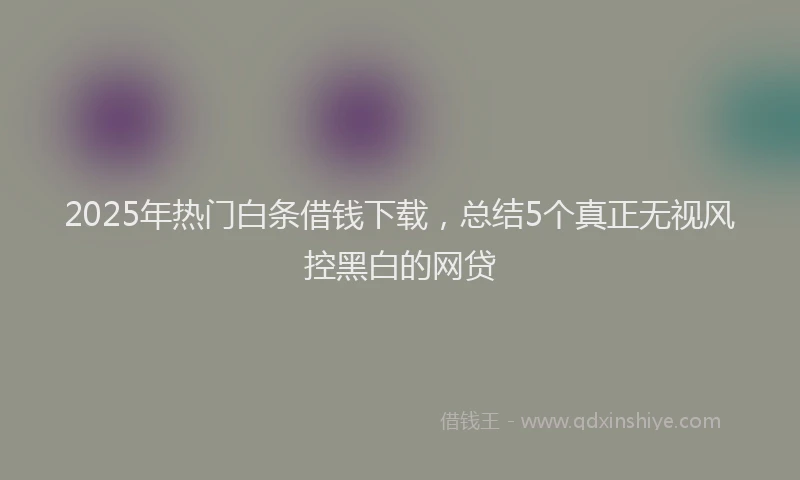 2025年热门白条借钱下载，总结5个真正无视风控黑白的网贷