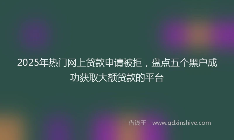 2025年热门网上贷款申请被拒，盘点五个黑户成功获取大额贷款的平台