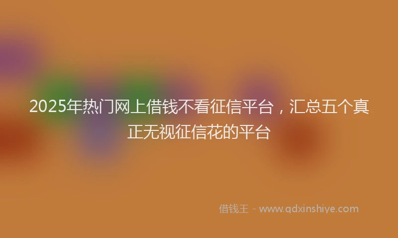 2025年热门网上借钱不看征信平台，汇总五个真正无视征信花的平台