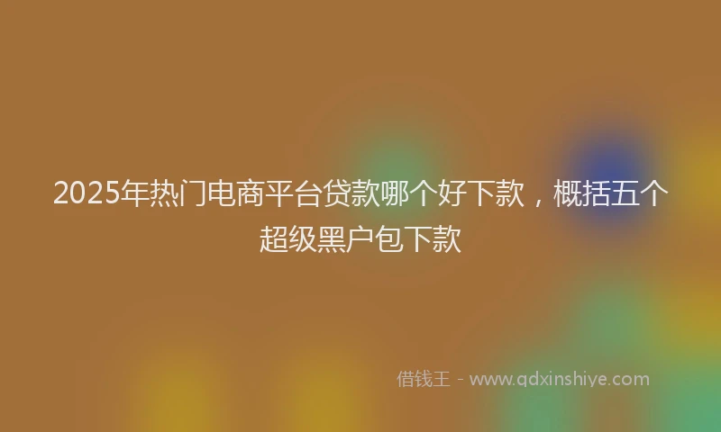 2025年热门电商平台贷款哪个好下款，概括五个超级黑户包下款