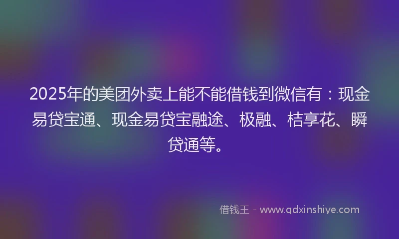 2025年的美团外卖上能不能借钱到微信有：现金易贷宝通、现金易贷宝融途、极融、桔享花、瞬贷通等。