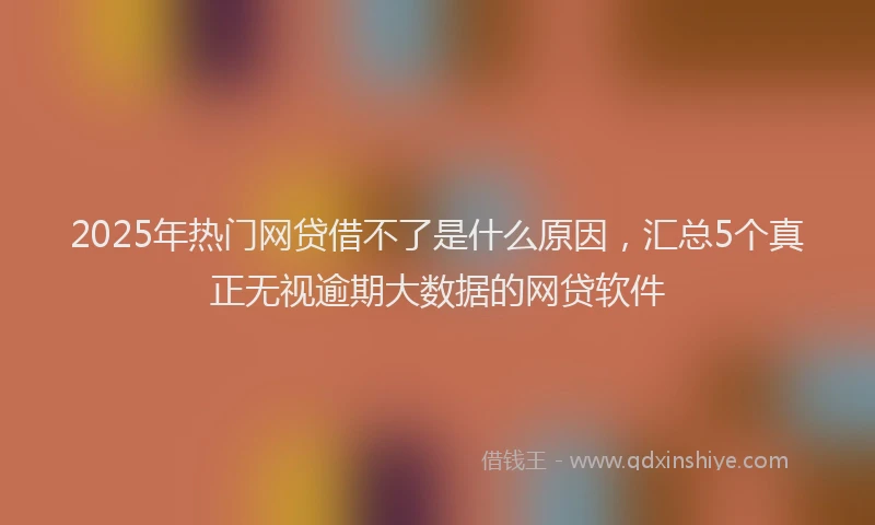 2025年热门网贷借不了是什么原因，汇总5个真正无视逾期大数据的网贷软件