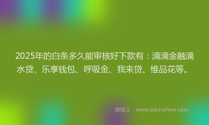 2025年的白条多久能审核好下款有：滴滴金融滴水贷、乐享钱包、呼吸金、我来贷、维品花等。