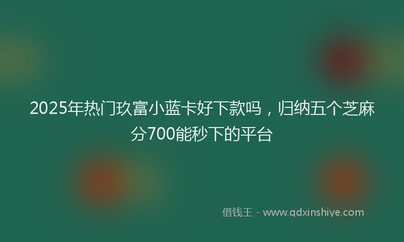 2025年热门玖富小蓝卡好下款吗，归纳五个芝麻分700能秒下的平台