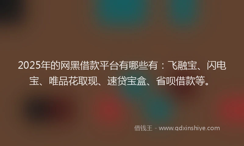 2025年的网黑借款平台有哪些有:飞融宝、闪电宝、唯品花取现、速贷宝盒、省呗借款等。