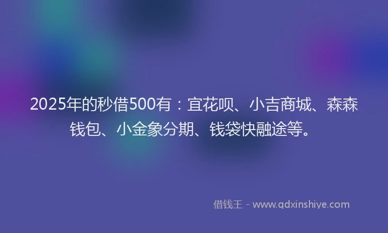 2025年的秒借500有：宜花呗、小吉商城、森森钱包、小金象分期、钱袋快融途等。