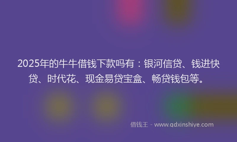 2025年的牛牛借钱下款吗有：银河信贷、钱进快贷、时代花、现金易贷宝盒、畅贷钱包等。