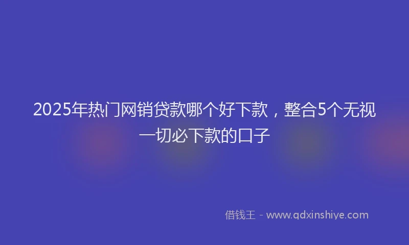 2025年热门网销贷款哪个好下款，整合5个无视一切必下款的口子