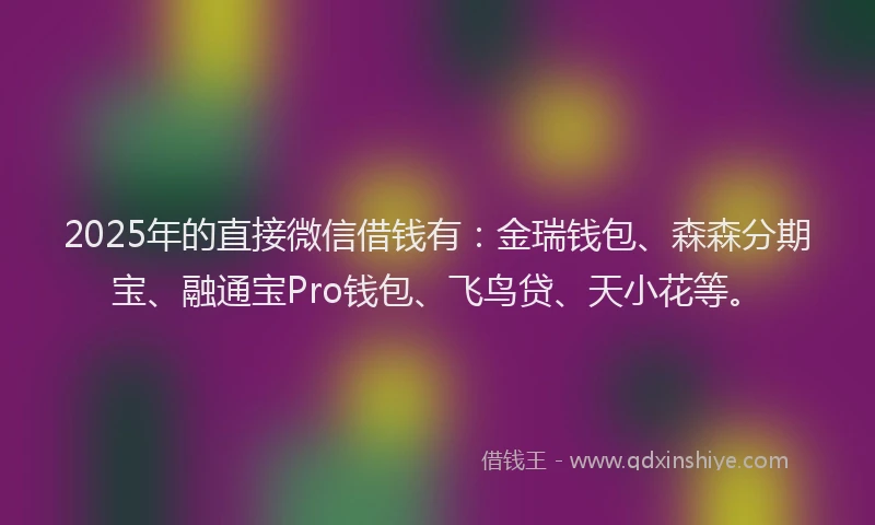 2025年的直接微信借钱有：金瑞钱包、森森分期宝、融通宝Pro钱包、飞鸟贷、天小花等。