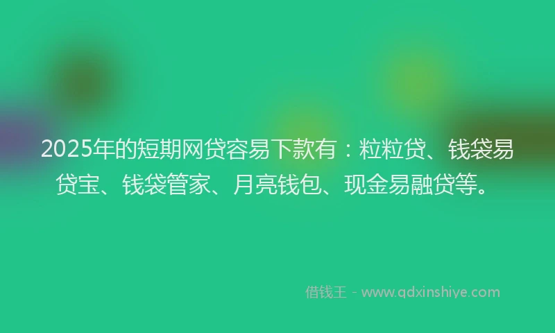 2025年的短期网贷容易下款有：粒粒贷、钱袋易贷宝、钱袋管家、月亮钱包、现金易融贷等。