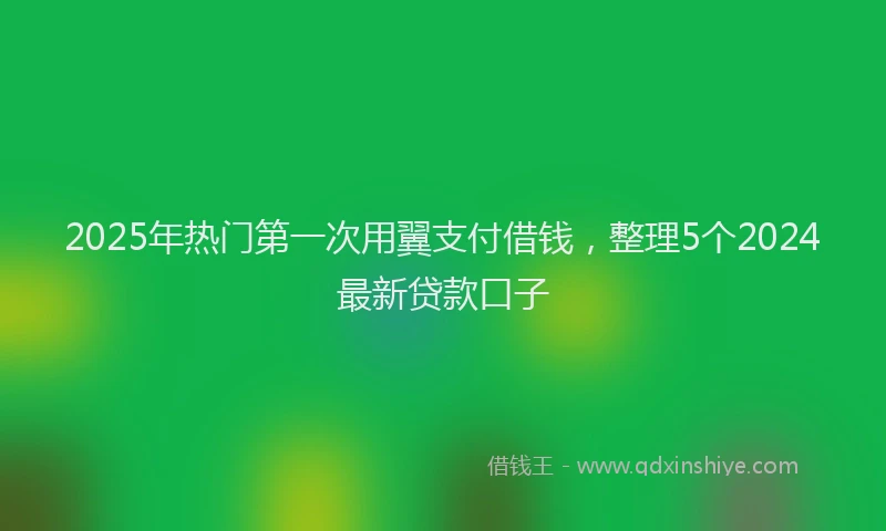 2025年热门第一次用翼支付借钱，整理5个2024最新贷款口子