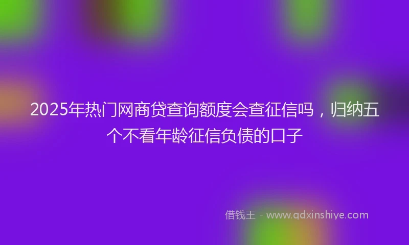 2025年热门网商贷查询额度会查征信吗，归纳五个不看年龄征信负债的口子