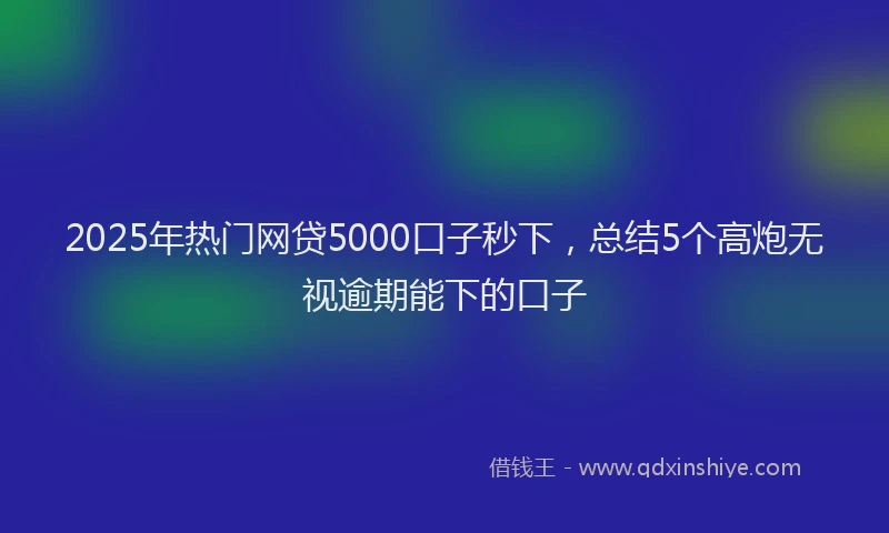 2025年热门网贷5000口子秒下，总结5个高炮无视逾期能下的口子