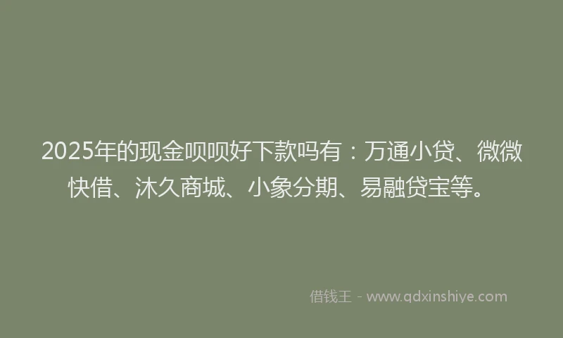 2025年的现金呗呗好下款吗有:万通小贷、微微快借、沐久商城、小象分期、易融贷宝等。