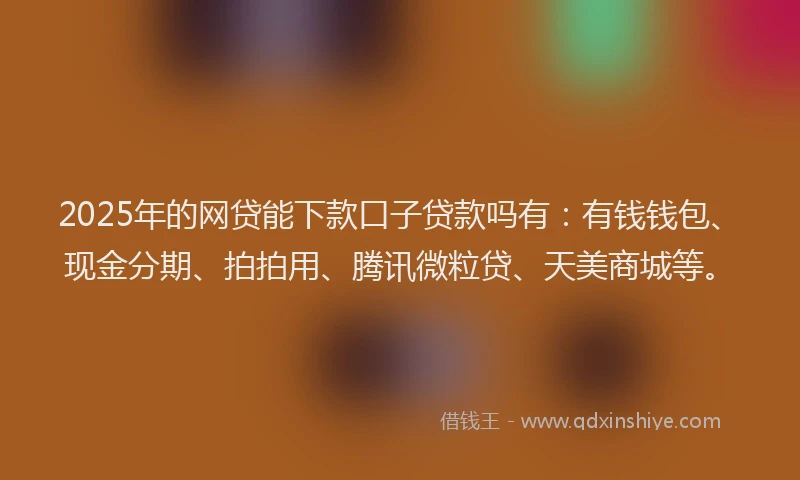 2025年的网贷能下款口子贷款吗有：有钱钱包、现金分期、拍拍用、腾讯微粒贷、天美商城等。