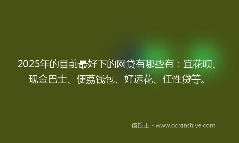 2025年的目前最好下的网贷有哪些有：宜花呗、现金巴士、便荔钱包、好运花、任性贷等。