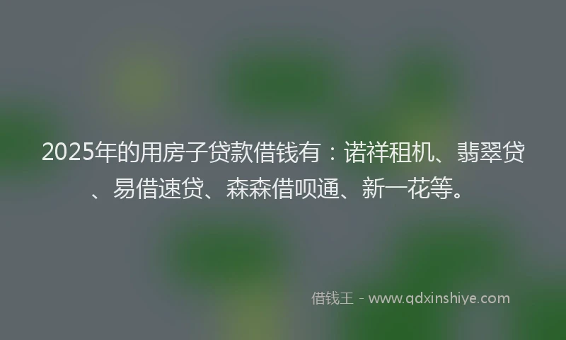 2025年的用房子贷款借钱有：诺祥租机、翡翠贷、易借速贷、森森借呗通、新一花等。