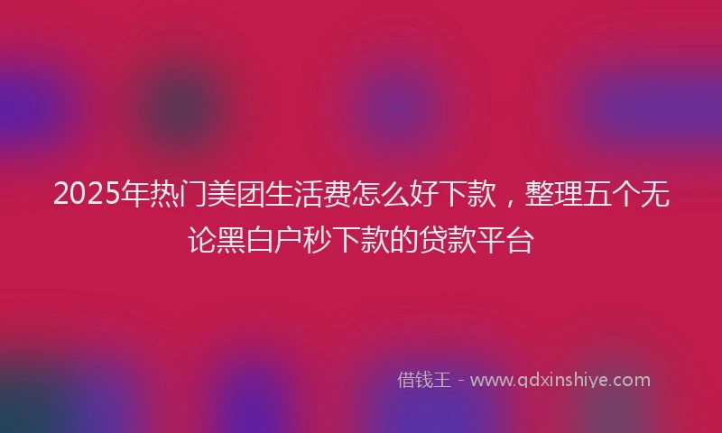 2025年热门美团生活费怎么好下款，整理五个无论黑白户秒下款的贷款平台