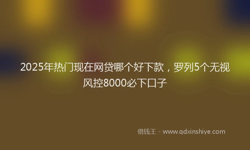 2025年热门现在网贷哪个好下款，罗列5个无视风控8000必下口子