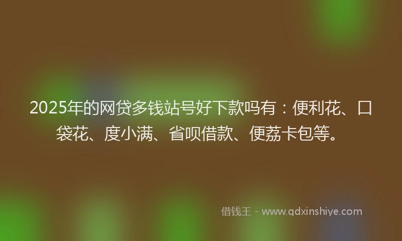 2025年的网贷多钱站号好下款吗有:便利花、口袋花、度小满、省呗借款、便荔卡包等。