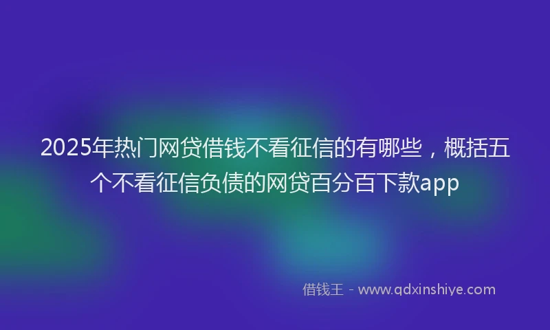 2025年热门网贷借钱不看征信的有哪些，概括五个不看征信负债的网贷百分百下款app