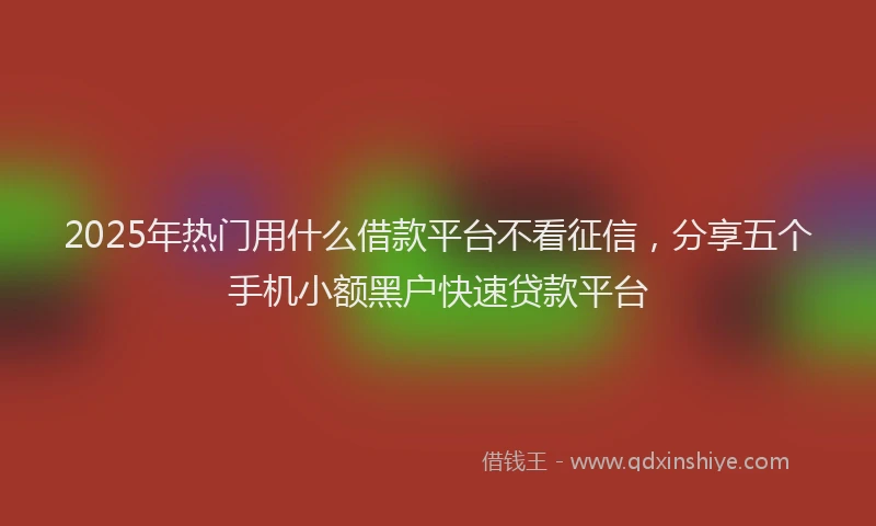 2025年热门用什么借款平台不看征信,分享五个手机小额黑户快速贷款平台
