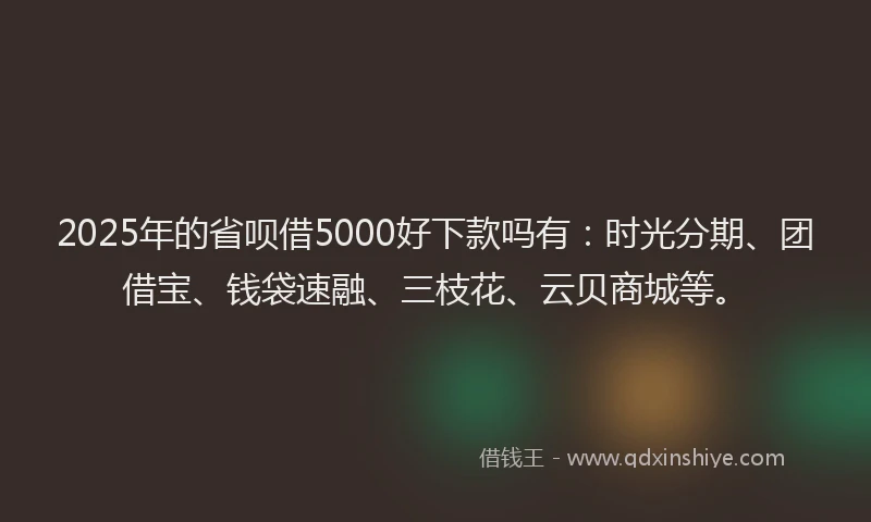 2025年的省呗借5000好下款吗有：时光分期、团借宝、钱袋速融、三枝花、云贝商城等。
