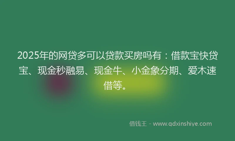 2025年的网贷多可以贷款买房吗有:借款宝快贷宝、现金秒融易、现金牛、小金象分期、爱木速借等。