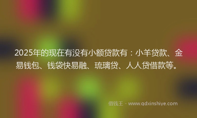2025年的现在有没有小额贷款有：小羊贷款、金易钱包、钱袋快易融、琉璃贷、人人贷借款等。