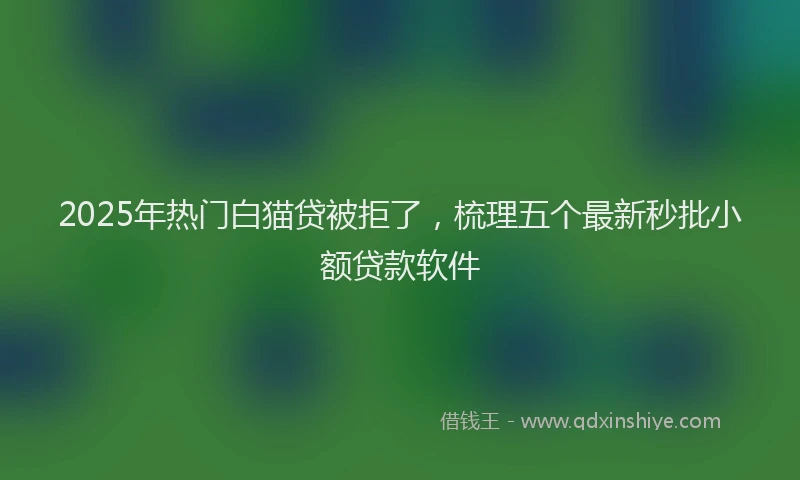 2025年热门白猫贷被拒了，梳理五个最新秒批小额贷款软件