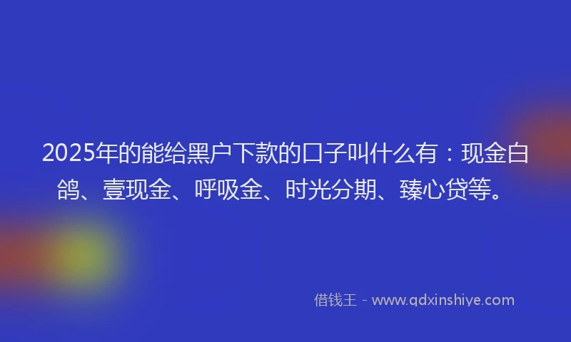 2025年的能给黑户下款的口子叫什么有：现金白鸽、壹现金、呼吸金、时光分期、臻心贷等。