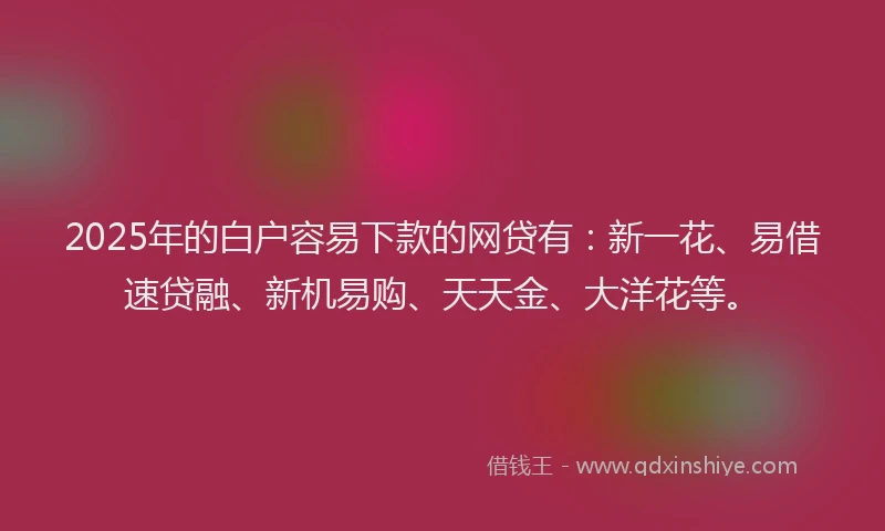 2025年的白户容易下款的网贷有：新一花、易借速贷融、新机易购、天天金、大洋花等。
