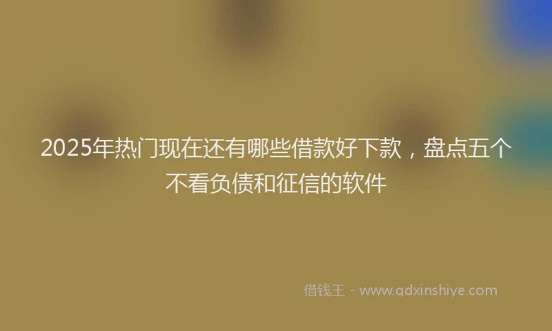 2025年热门现在还有哪些借款好下款，盘点五个不看负债和征信的软件