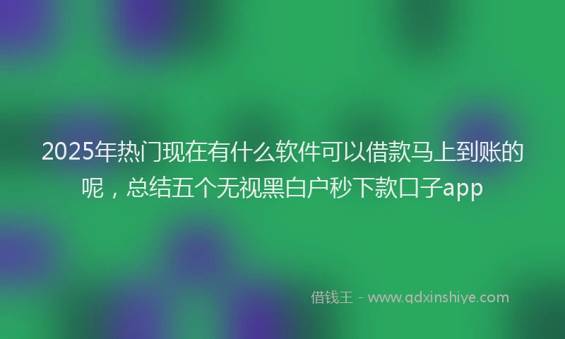 2025年热门现在有什么软件可以借款马上到账的呢，总结五个无视黑白户秒下款口子app