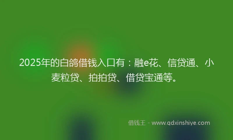 2025年的白鸽借钱入口有：融e花、信贷通、小麦粒贷、拍拍贷、借贷宝通等。