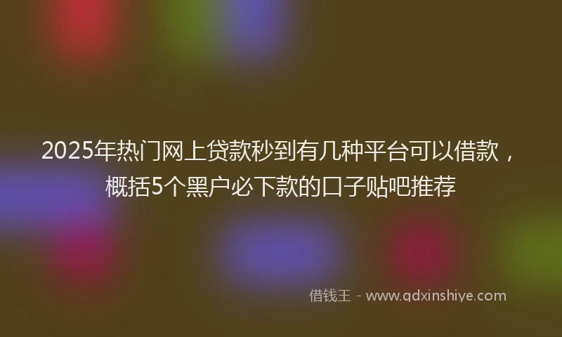 2025年热门网上贷款秒到有几种平台可以借款，概括5个黑户必下款的口子贴吧推荐