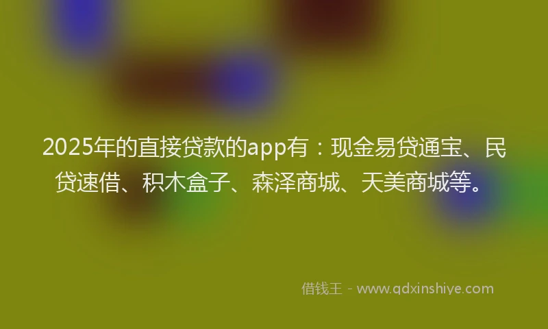 2025年的直接贷款的app有：现金易贷通宝、民贷速借、积木盒子、森泽商城、天美商城等。