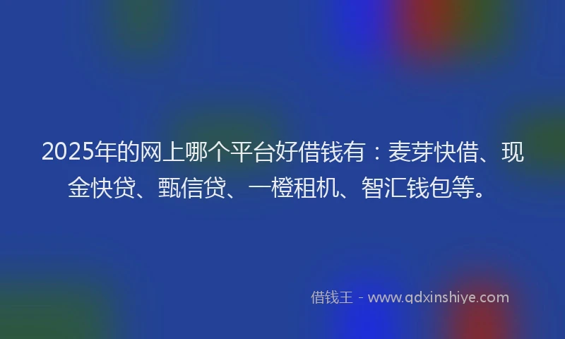 2025年的网上哪个平台好借钱有：麦芽快借、现金快贷、甄信贷、一橙租机、智汇钱包等。