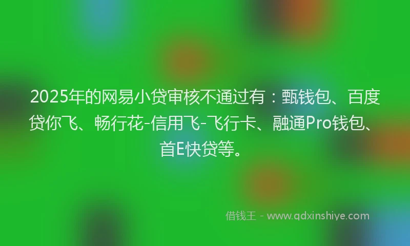 2025年的网易小贷审核不通过有:甄钱包、百度贷你飞、畅行花-信用飞-飞行卡、融通Pro钱包、首E快贷等。
