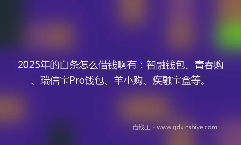2025年的白条怎么借钱啊有：智融钱包、青春购、瑞信宝Pro钱包、羊小购、疾融宝盒等。