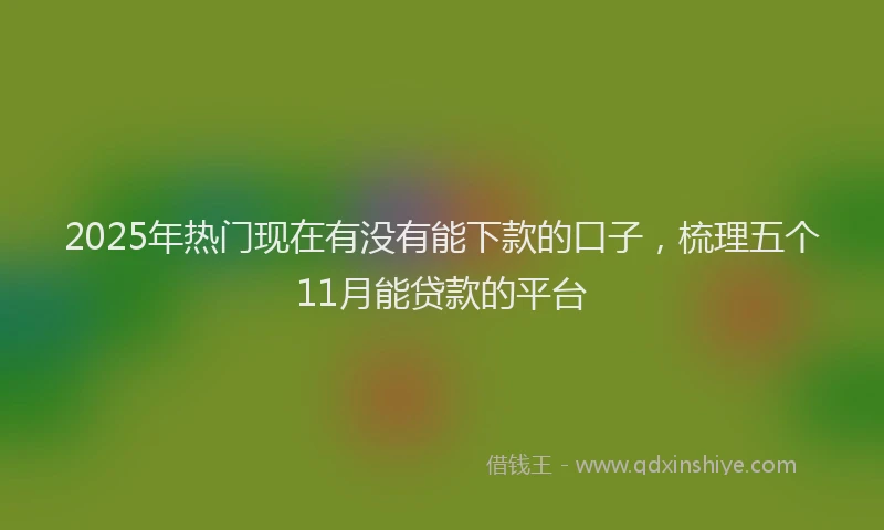 2025年热门现在有没有能下款的口子，梳理五个11月能贷款的平台
