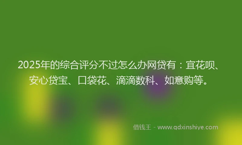 2025年的综合评分不过怎么办网贷有：宜花呗、安心贷宝、口袋花、滴滴数科、如意购等。
